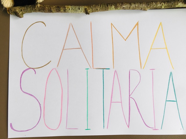 Cartel calma solitaria