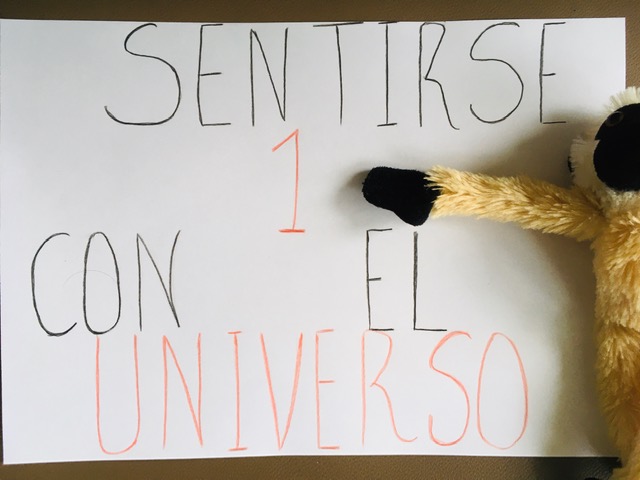 Cartel sentirse uno con el universo
