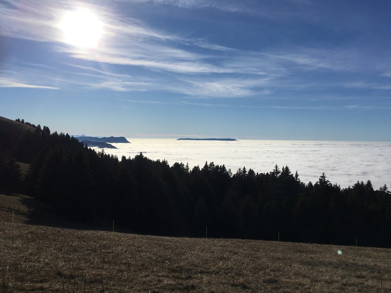 Cuento de solsticio de invierno