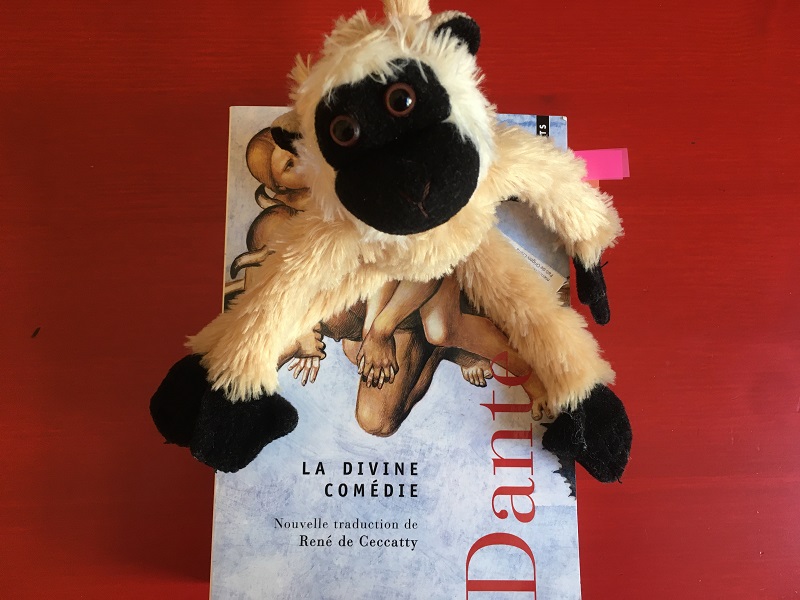 Mimono con la Divina Comedia de Dante