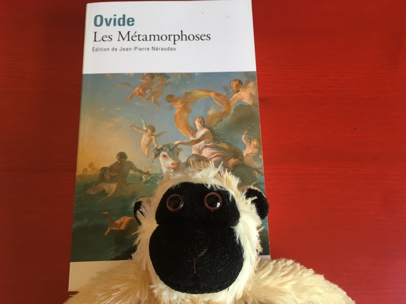 Mimono y Las Metamorfosis de Ovide